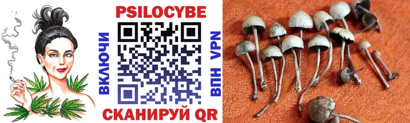 Галлюциногенные грибы MAGIC MUSHROOMS  это официальный сайт  Салаир  купить наркоту 